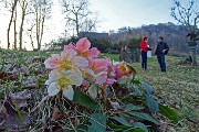 Sul CORNO ZUCCONE, guardiano della Val Taleggio, il 1 marzo 2016 - FOTOGALLERY